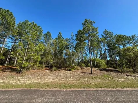 9161 N Marcus Way Citrus Springs FL 34433