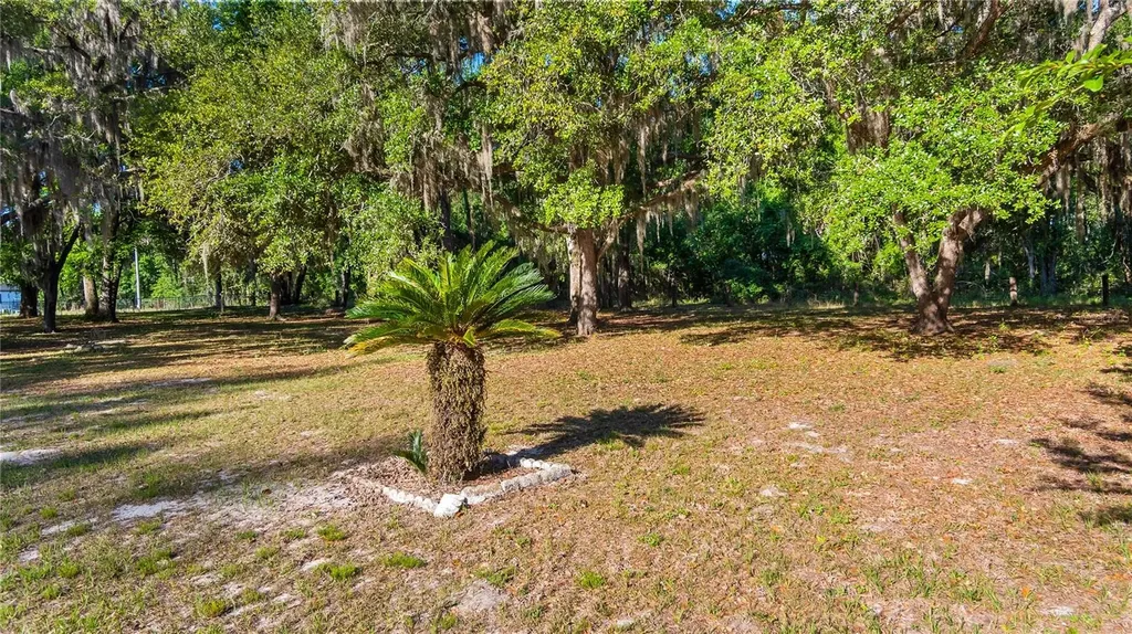 Legacy Woods Groveland FL 34736