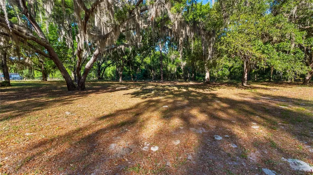 Legacy Woods Groveland FL 34736