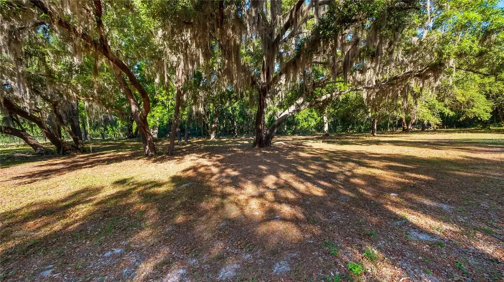 Legacy Woods Groveland FL 34736