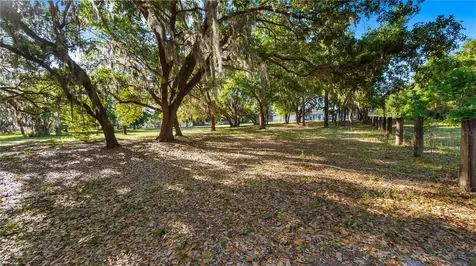 Legacy Woods Groveland FL 34736