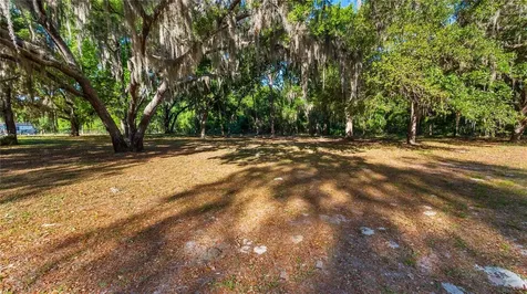 Legacy Woods Groveland FL 34736