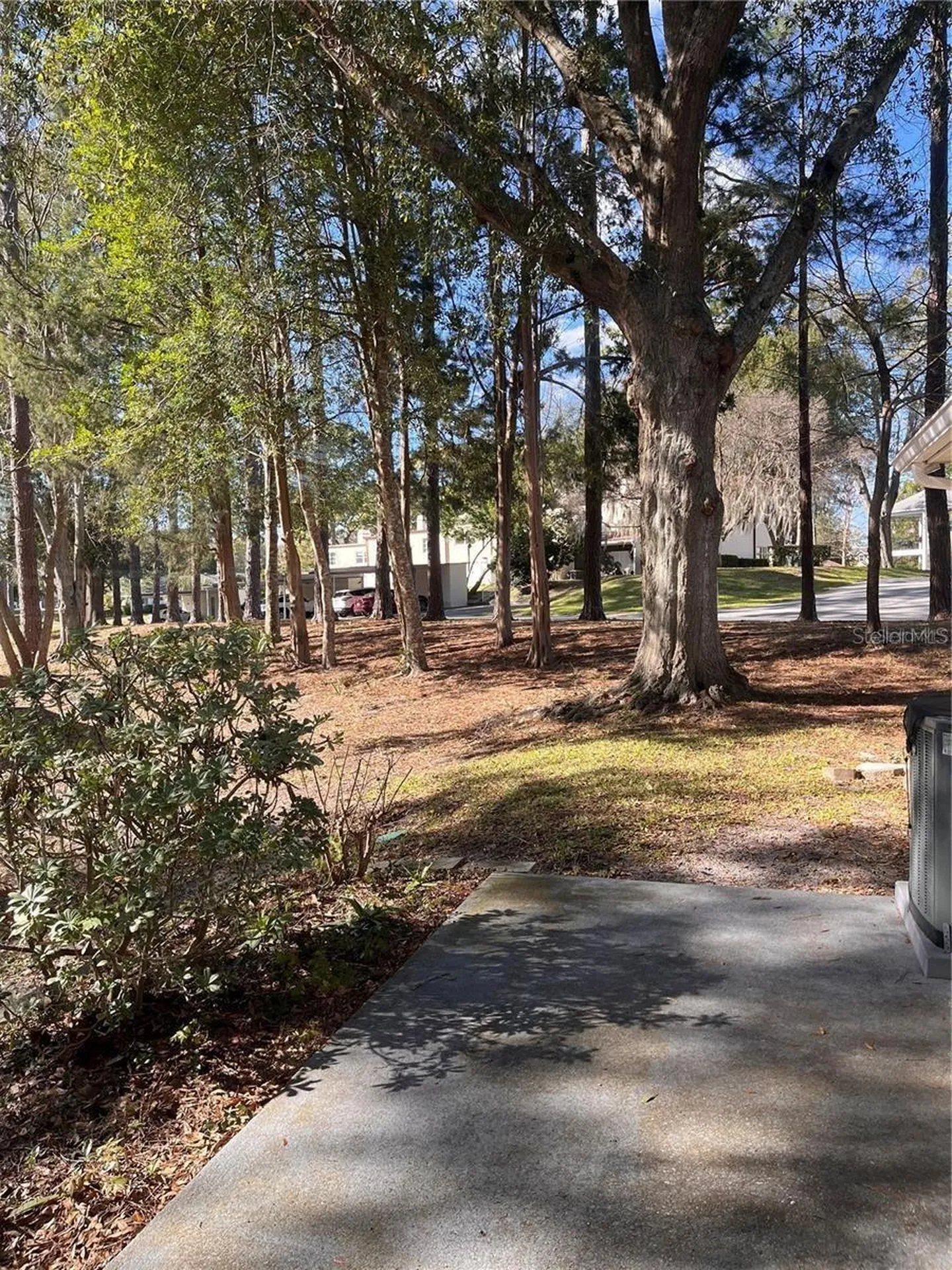 8757 SW 97th Lane Road Ocala FL 34481