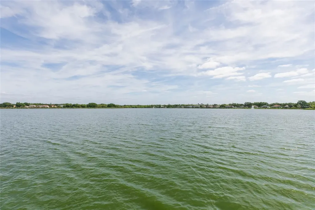 7227 Colonial Lake Drive Riverview FL 33578