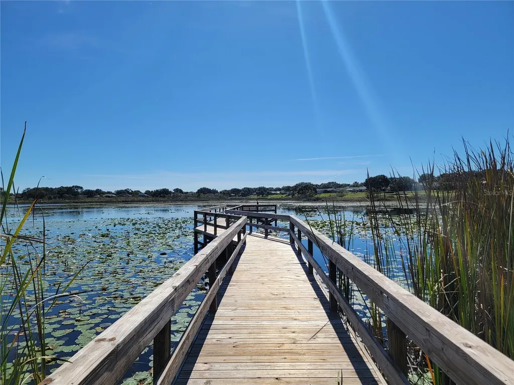 3723 Mulberry Grove Loop Leesburg FL 34748