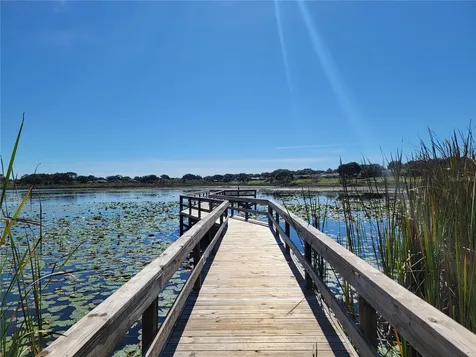 3723 Mulberry Grove Loop Leesburg FL 34748