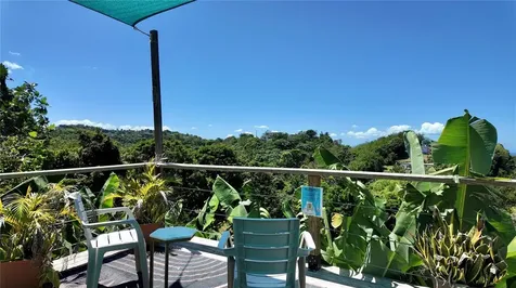 412 Carr El Coqui Rincon PR 00677