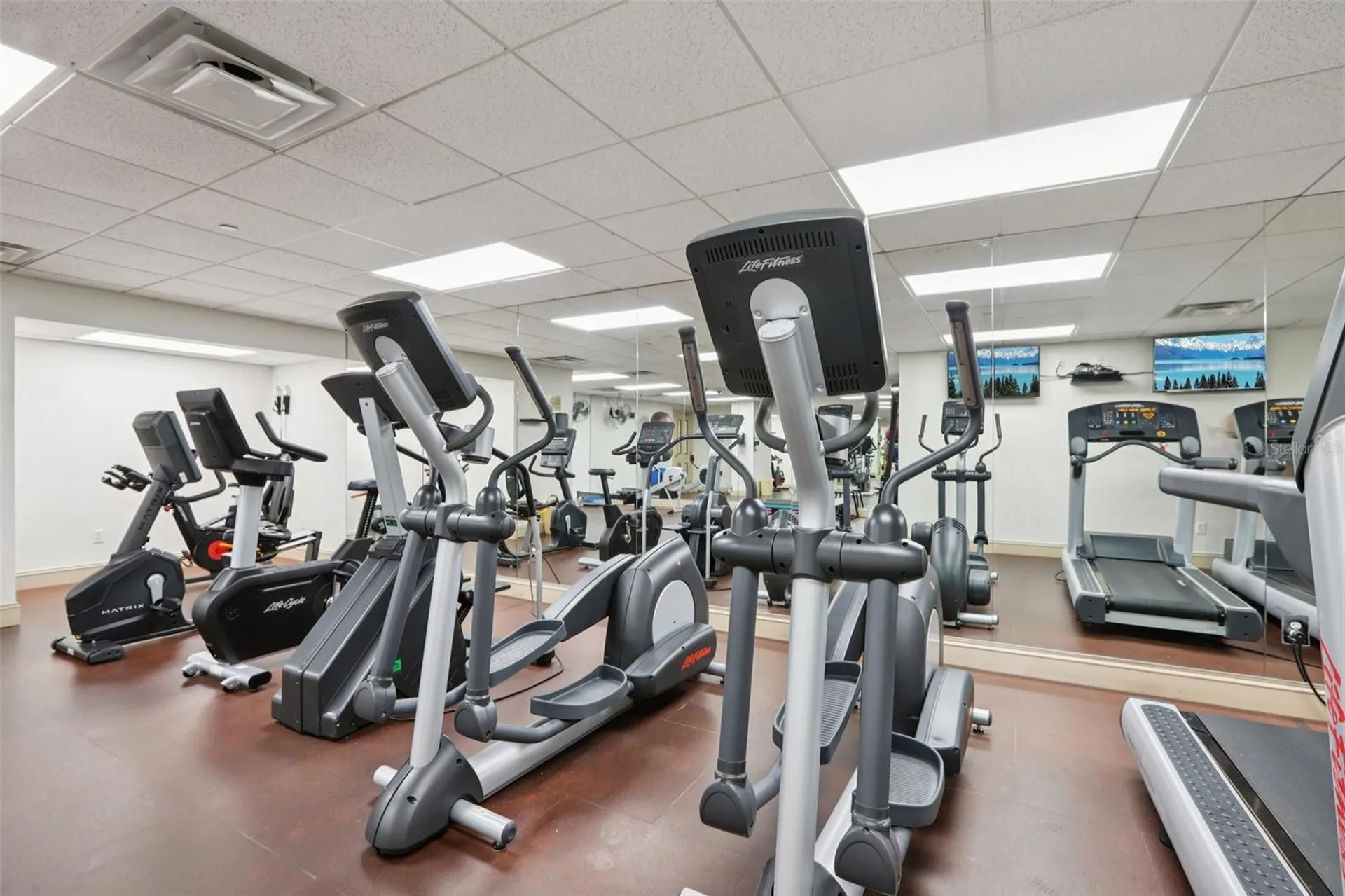 345 Bayshore Boulevard Tampa FL 33606