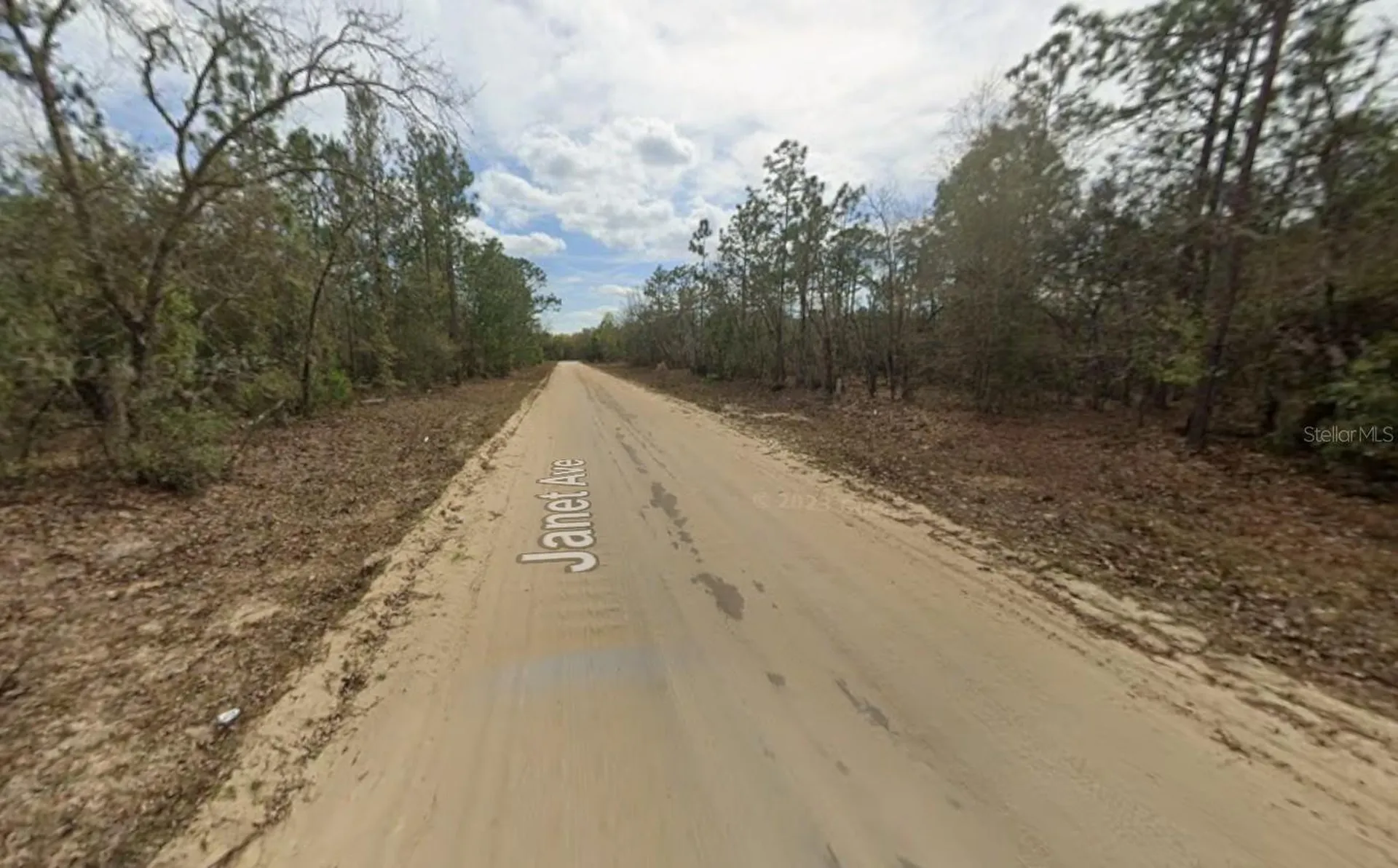 Lot 28 Janet Avenue Interlachen FL 32148