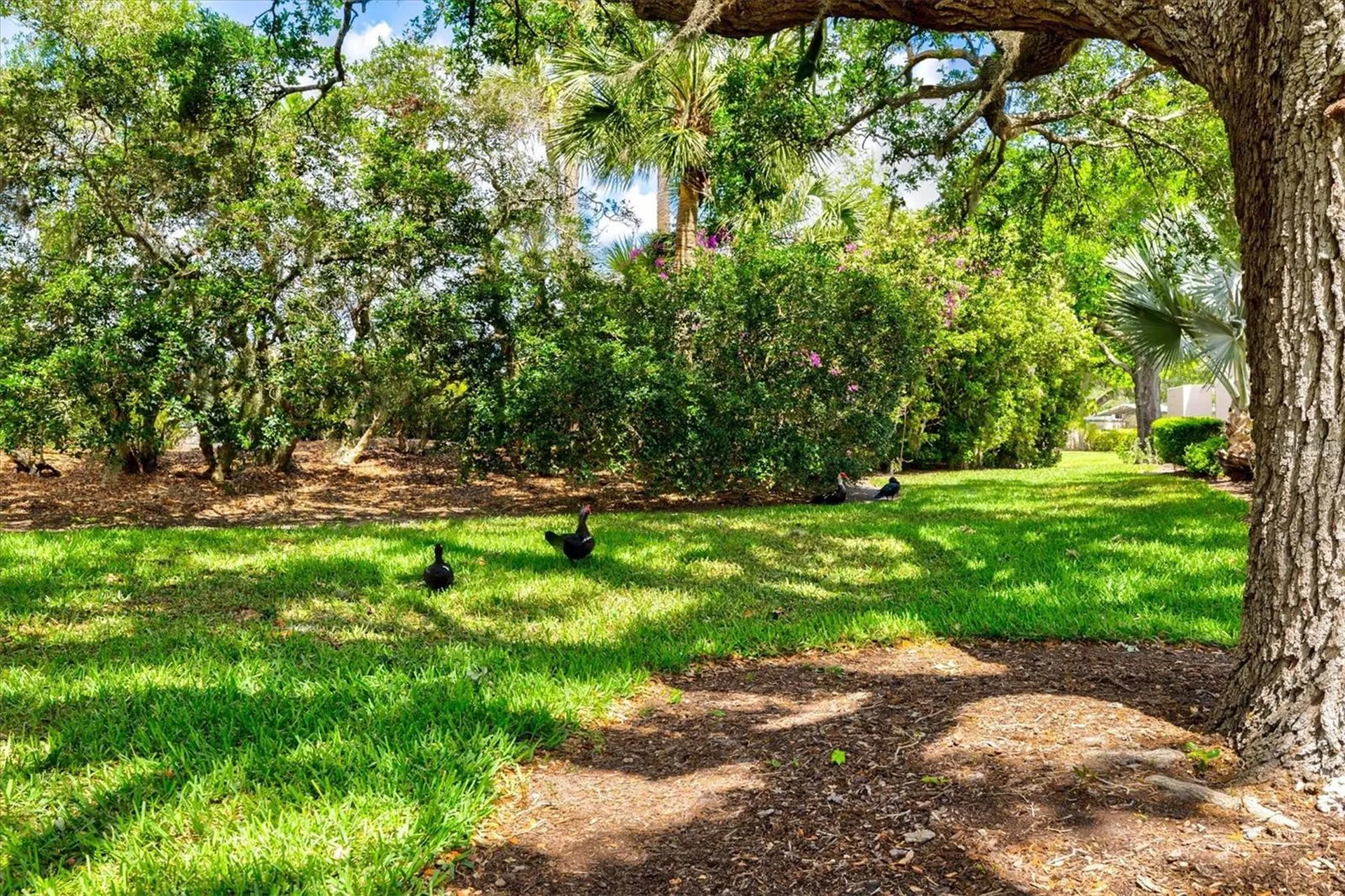 4566 Hidden View Place Sarasota FL 34235
