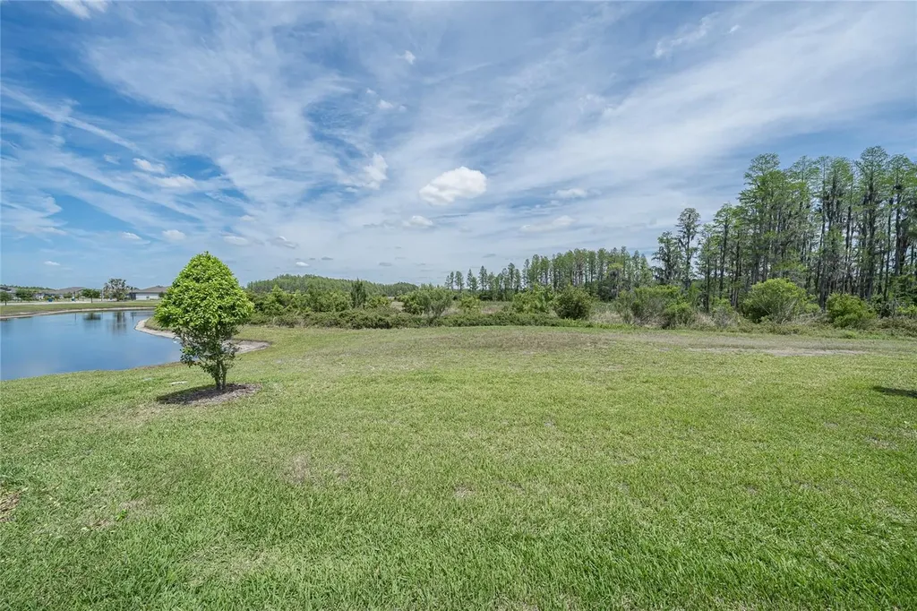 19437 Ship Wheel Way Land O Lakes FL 34638