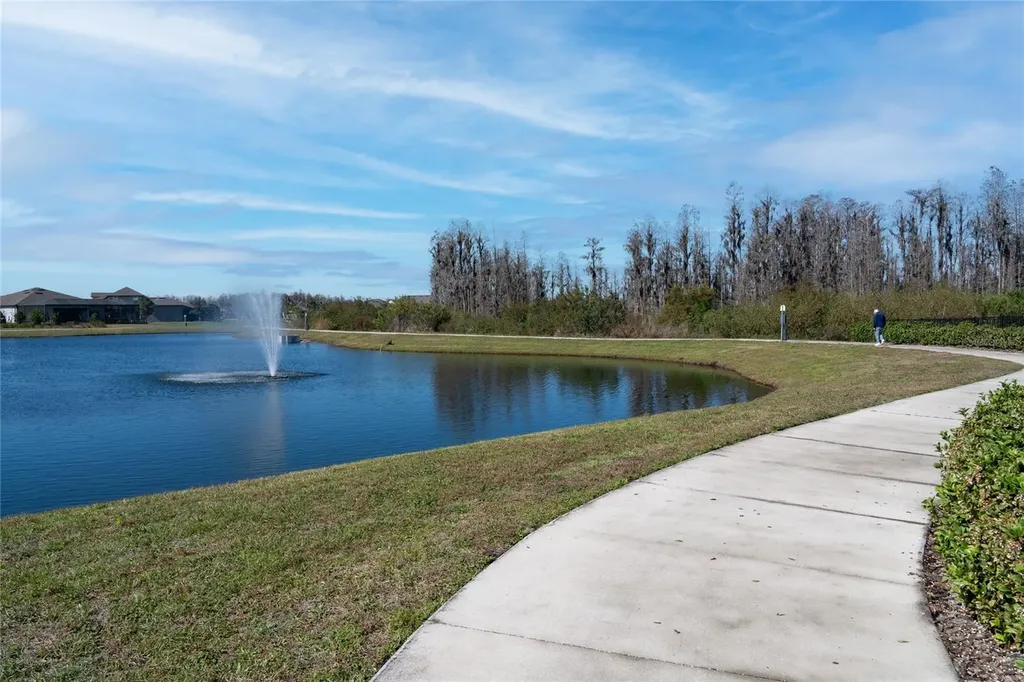 19437 Ship Wheel Way Land O Lakes FL 34638