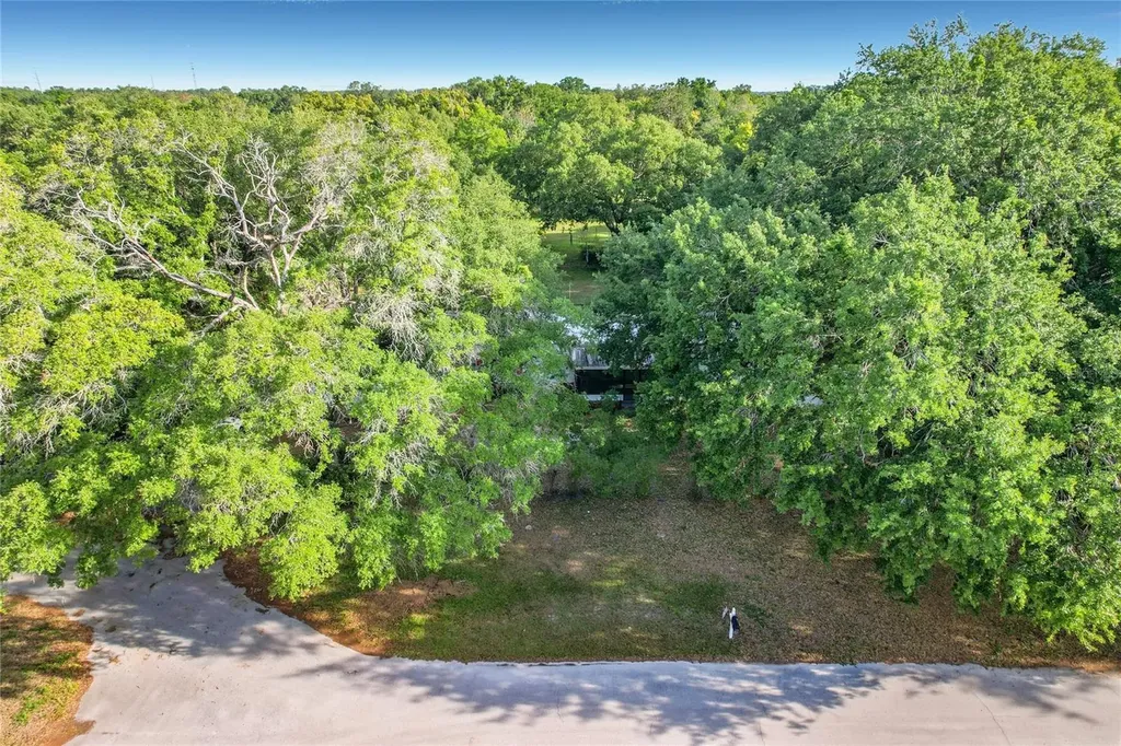 821 Irene Drive Auburndale FL 33823