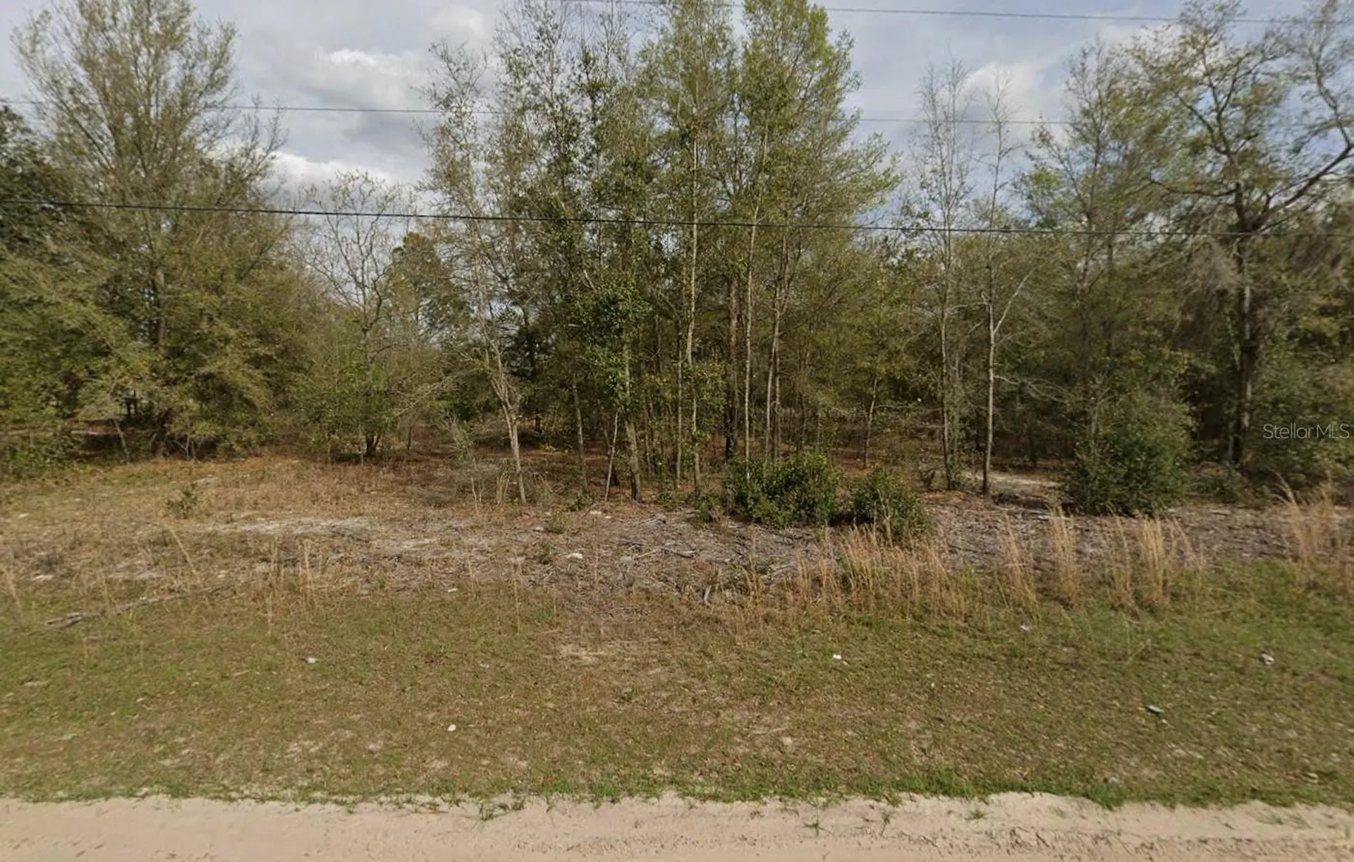 Lot 15 Marion Avenue Interlachen FL 32148