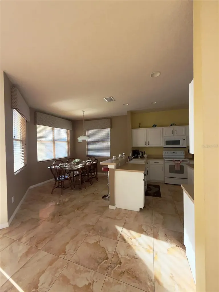313 Higher Combe Drive Davenport FL 33897