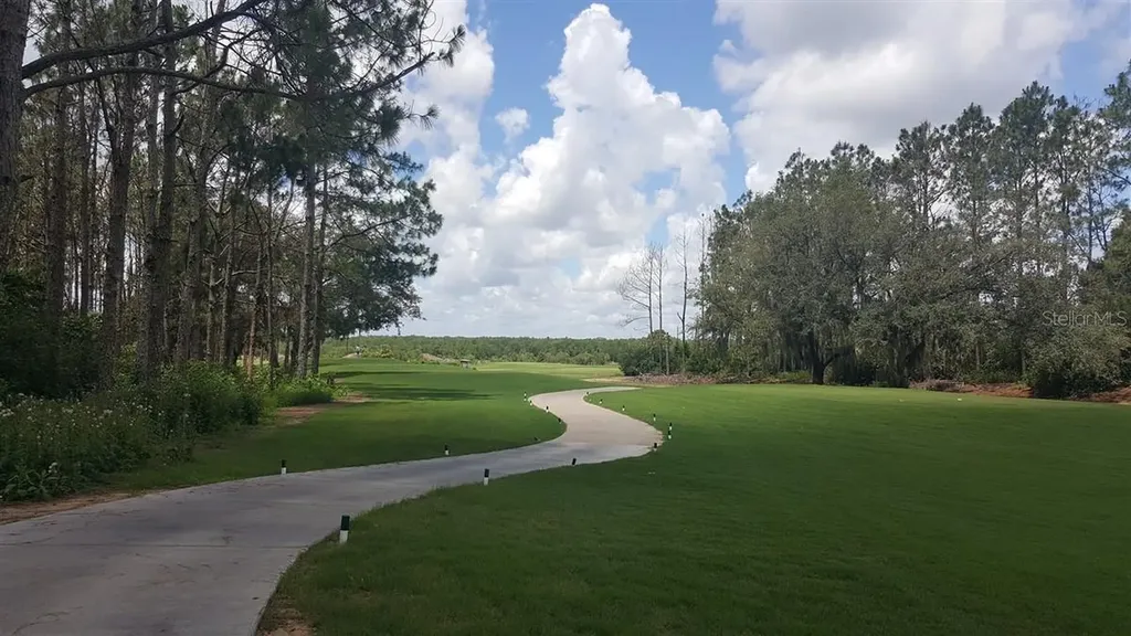 313 Higher Combe Drive Davenport FL 33897