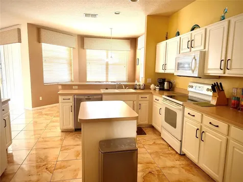 313 Higher Combe Drive Davenport FL 33897