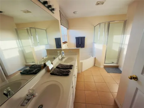 313 Higher Combe Drive Davenport FL 33897