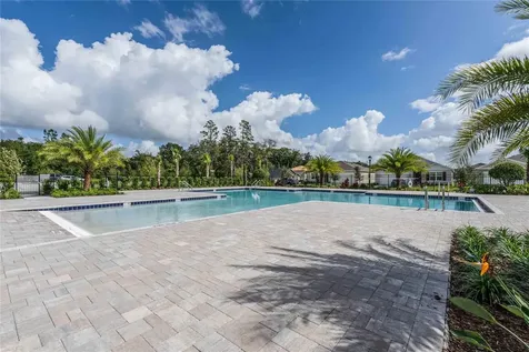 2335 Ashwood Bluff Drive Ocoee FL 34761