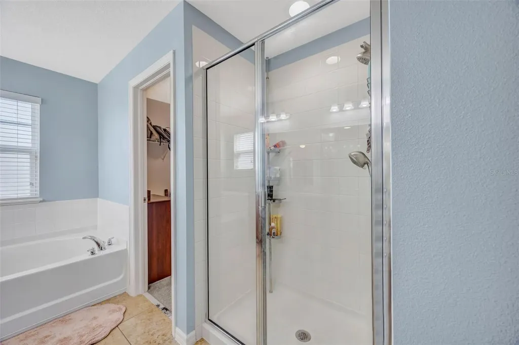 5420 Angelonia Terrace Land O Lakes FL 34639