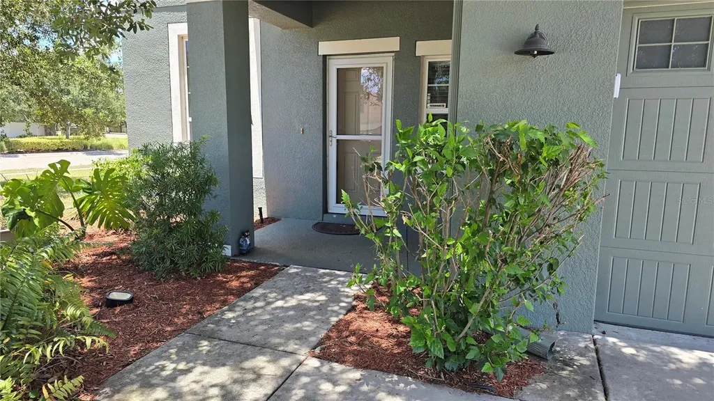 5420 Angelonia Terrace Land O Lakes FL 34639