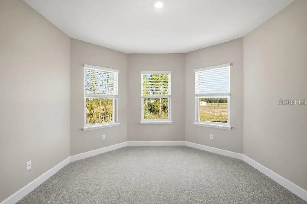 1572 Trailhead Lane Zephyrhills FL 33541