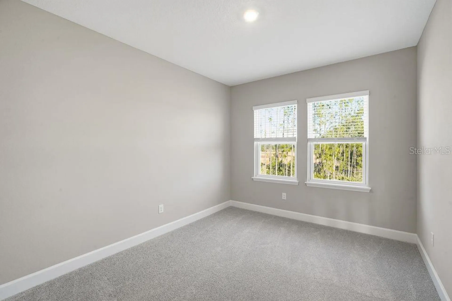 1572 Trailhead Lane Zephyrhills FL 33541