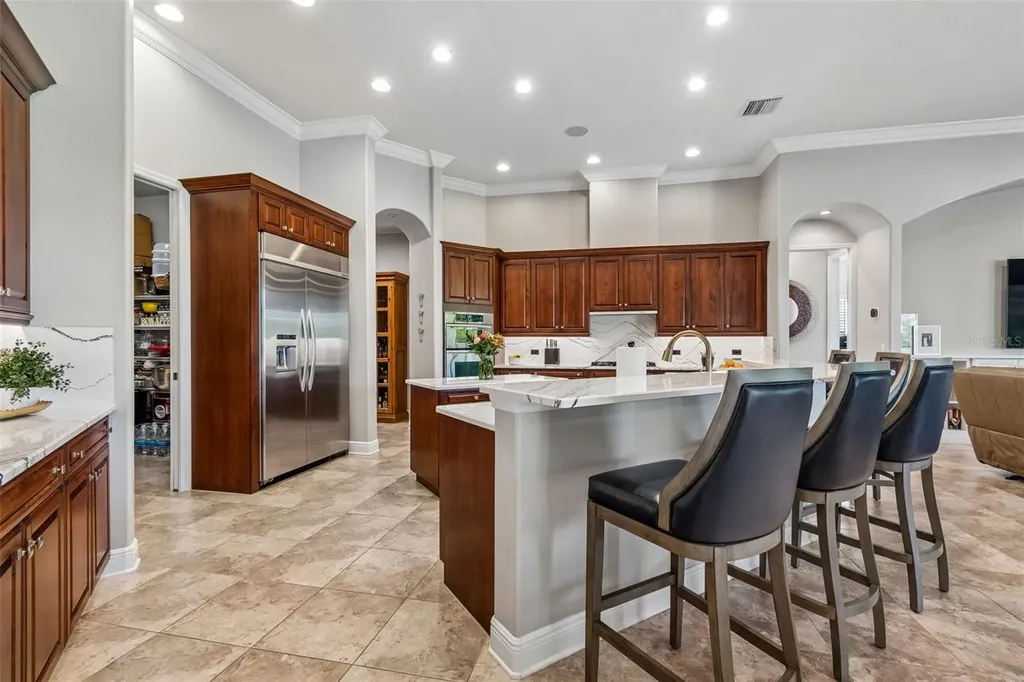 21227 Sky Vista Drive Land O Lakes FL 34637