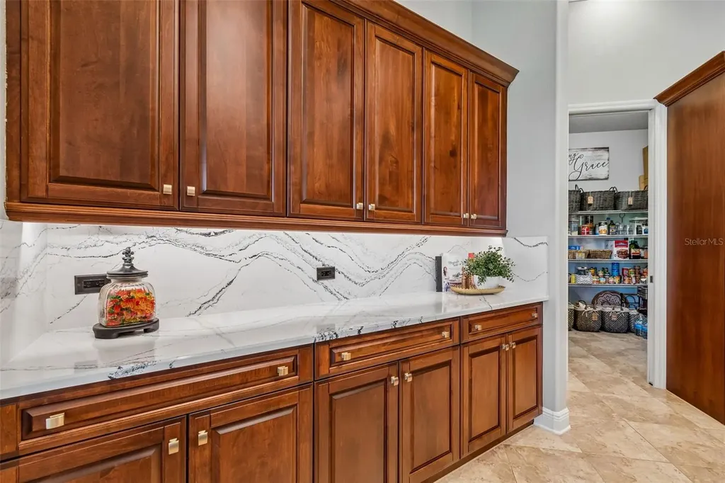 21227 Sky Vista Drive Land O Lakes FL 34637