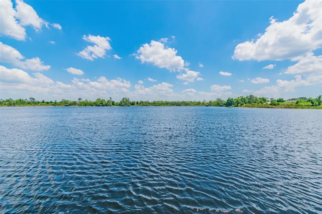 21227 Sky Vista Drive Land O Lakes FL 34637