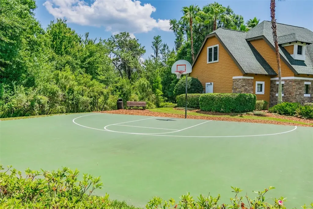 21227 Sky Vista Drive Land O Lakes FL 34637