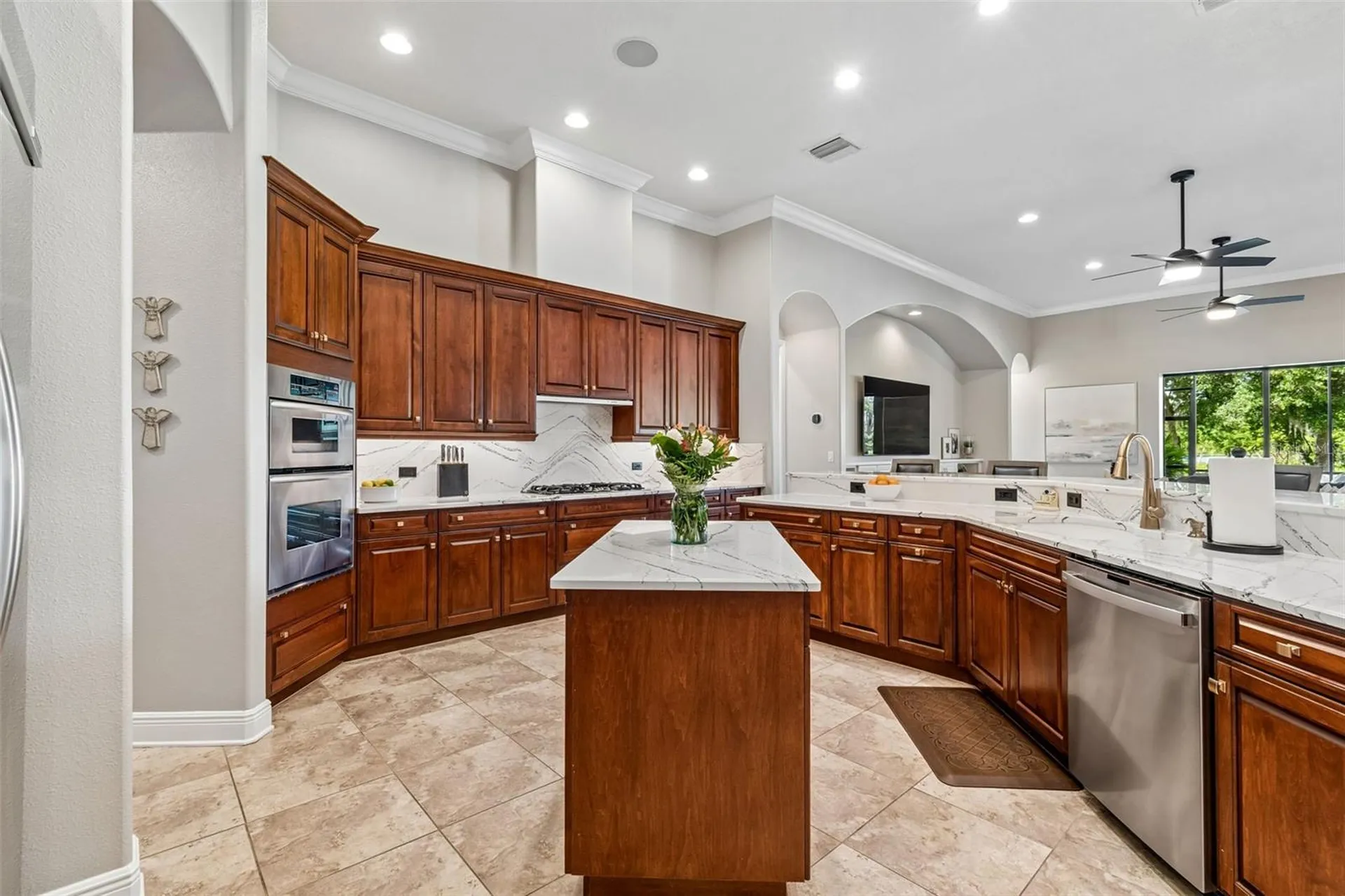 21227 Sky Vista Drive Land O Lakes FL 34637