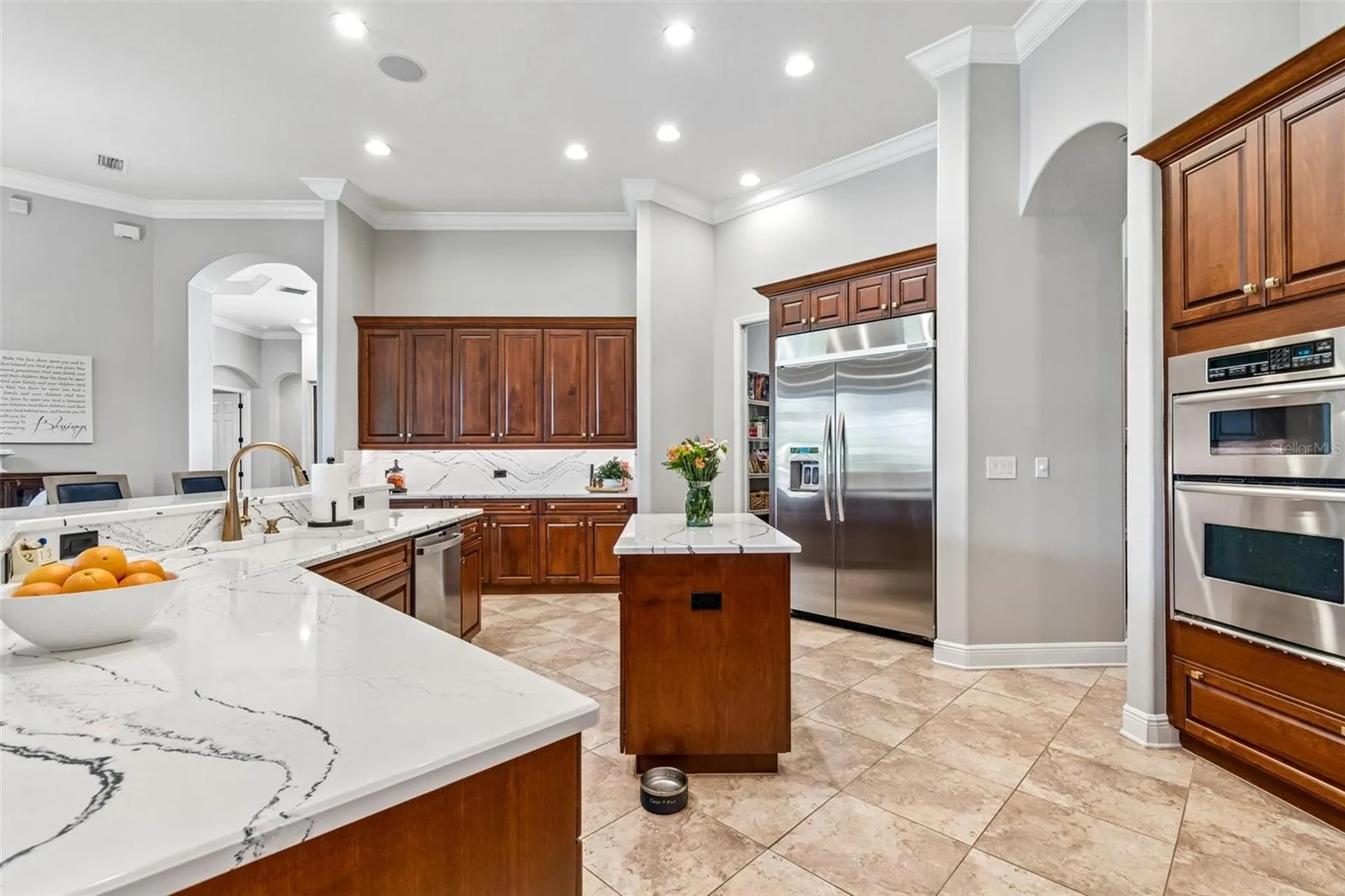 21227 Sky Vista Drive Land O Lakes FL 34637