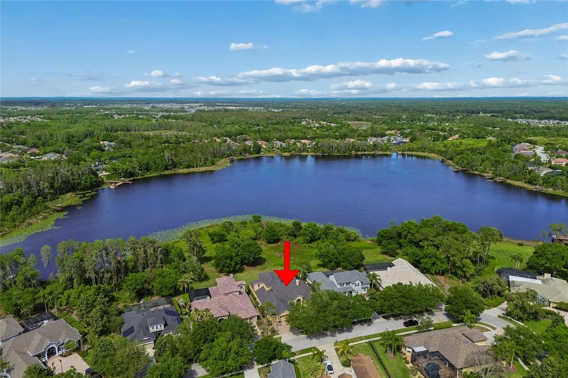 21227 Sky Vista Drive Land O Lakes FL 34637