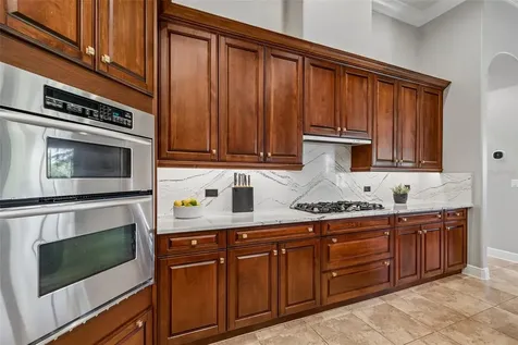 21227 Sky Vista Drive Land O Lakes FL 34637