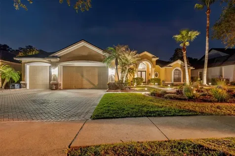 21227 Sky Vista Drive Land O Lakes FL 34637