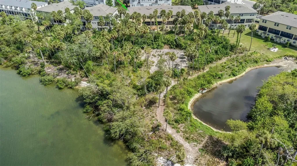 4732 Tuscan Loon Drive Tampa FL 33619