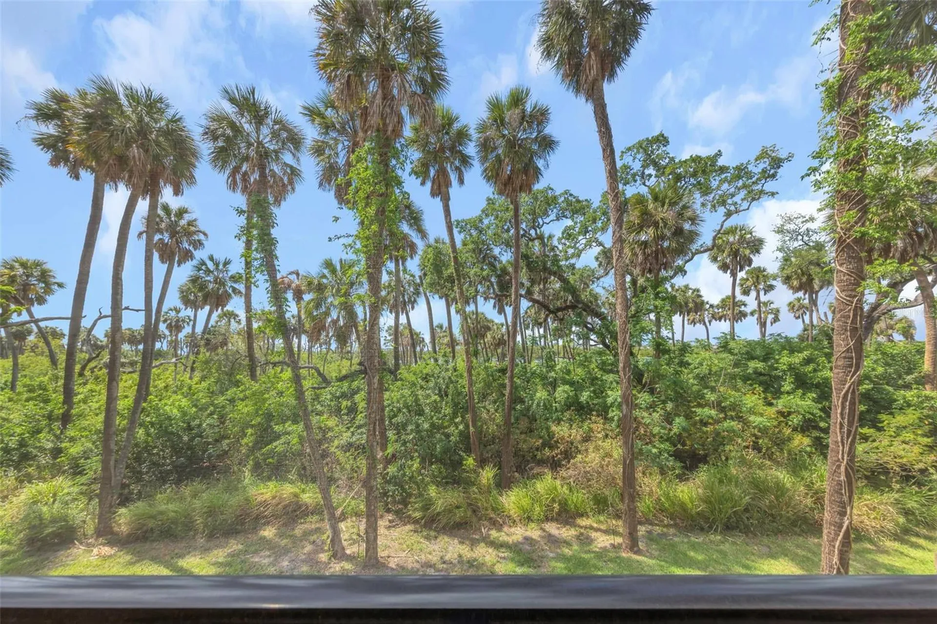 4732 Tuscan Loon Drive Tampa FL 33619
