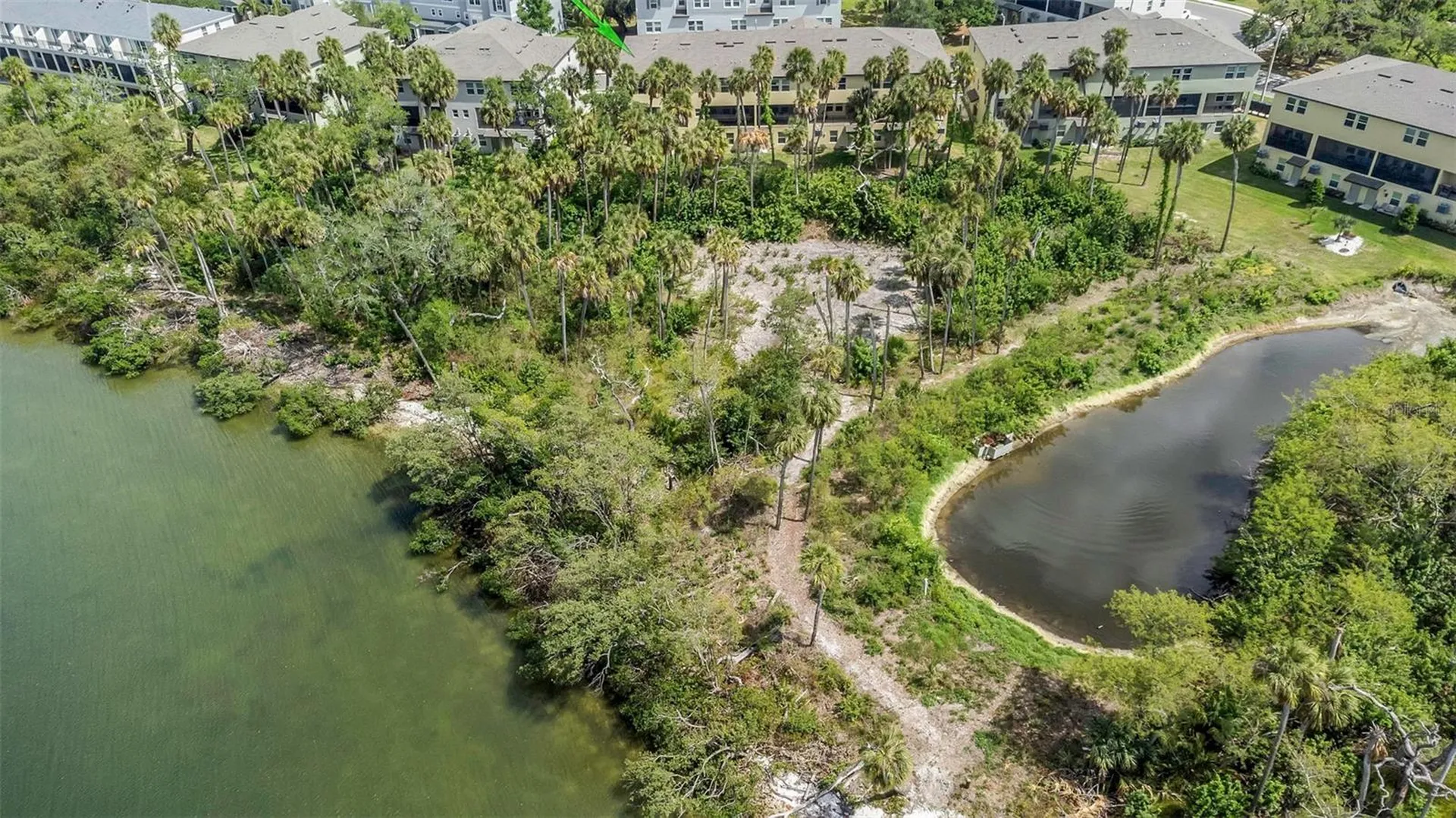 4732 Tuscan Loon Drive Tampa FL 33619