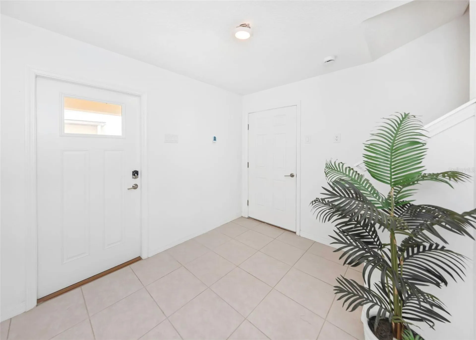 4732 Tuscan Loon Drive Tampa FL 33619