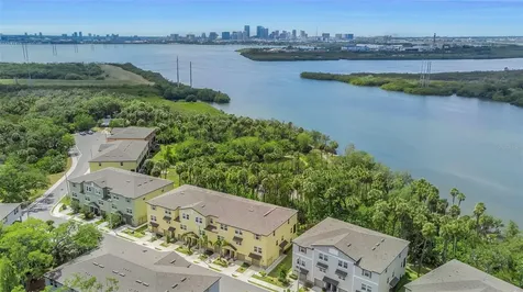 4732 Tuscan Loon Drive Tampa FL 33619