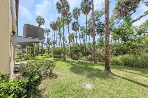 4732 Tuscan Loon Drive Tampa FL 33619