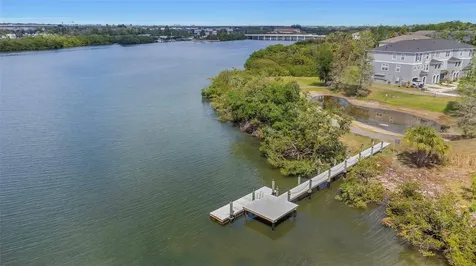 4732 Tuscan Loon Drive Tampa FL 33619