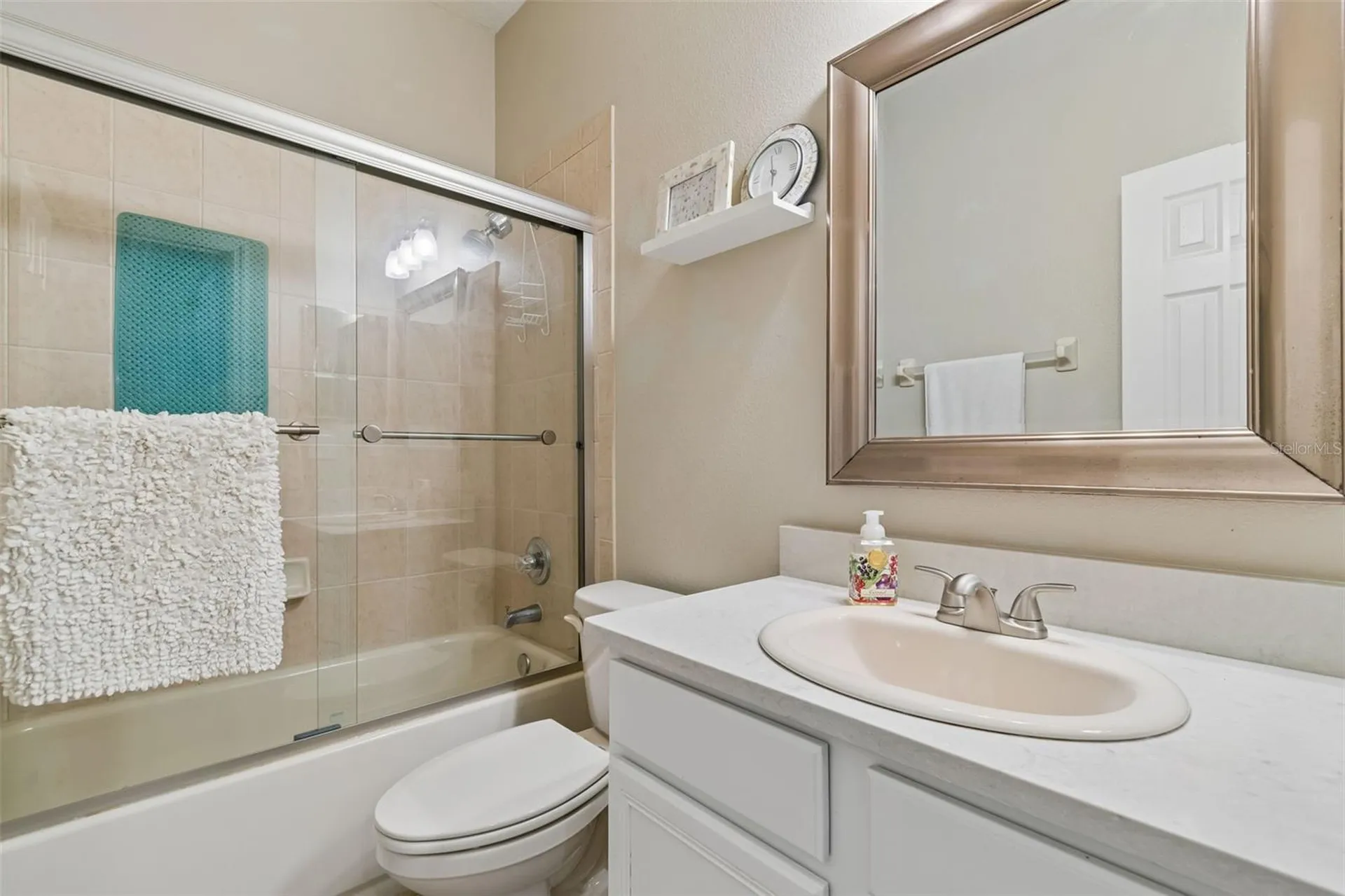 10901 Wildcat Drive Riverview FL 33579