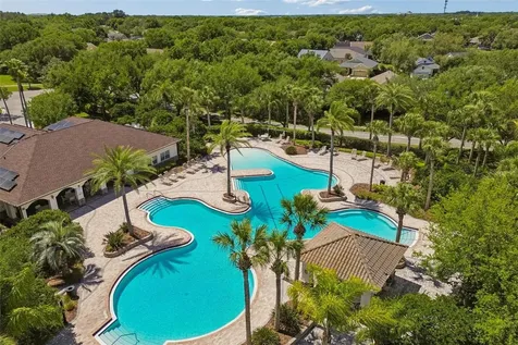 10901 Wildcat Drive Riverview FL 33579