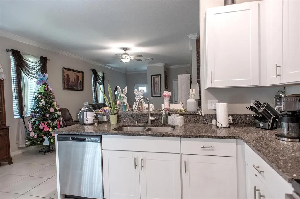 2160 Cerulean Sky Drive Lutz FL 33558