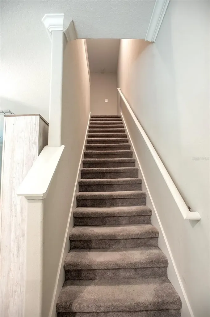 2160 Cerulean Sky Drive Lutz FL 33558