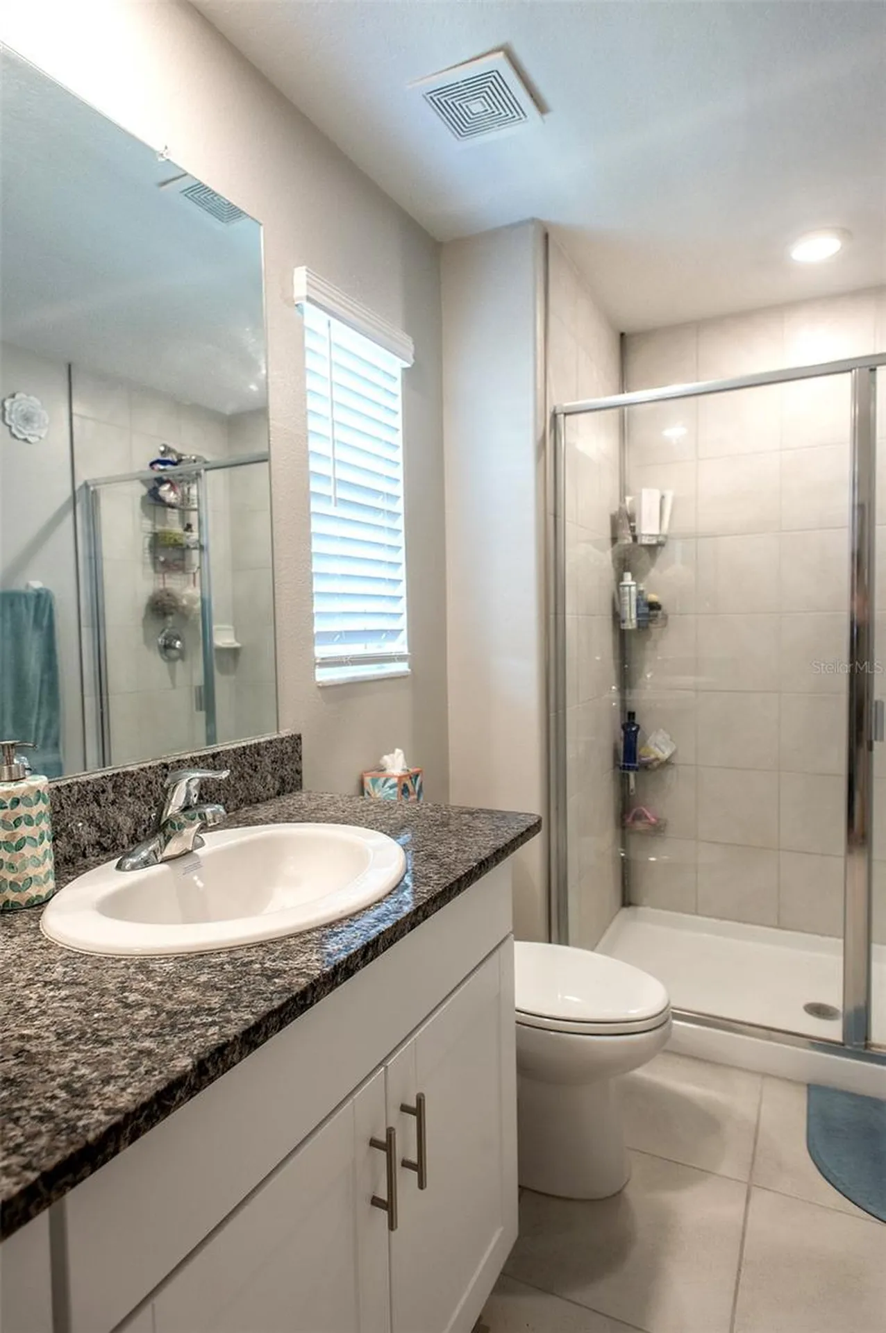 2160 Cerulean Sky Drive Lutz FL 33558
