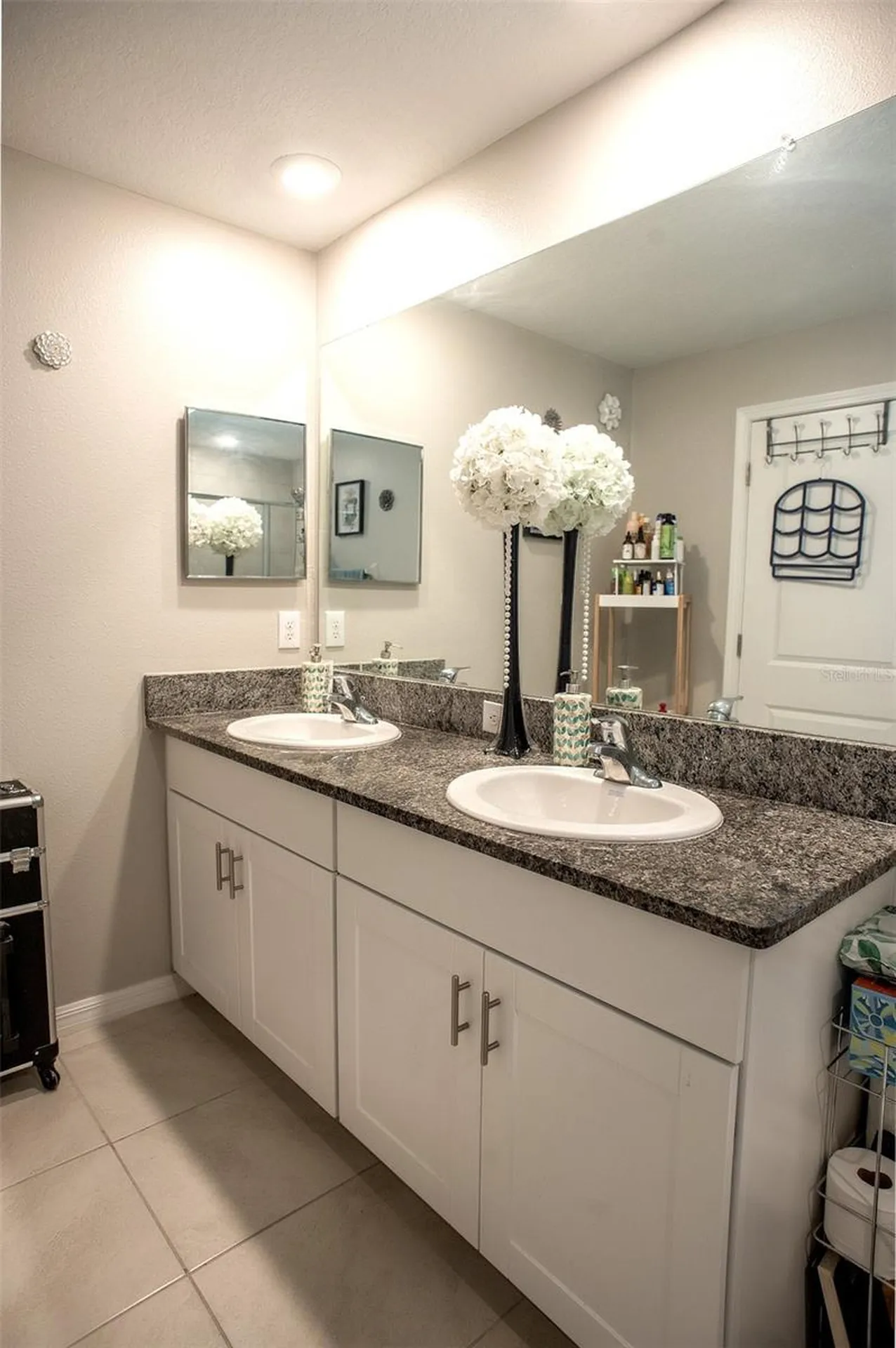 2160 Cerulean Sky Drive Lutz FL 33558