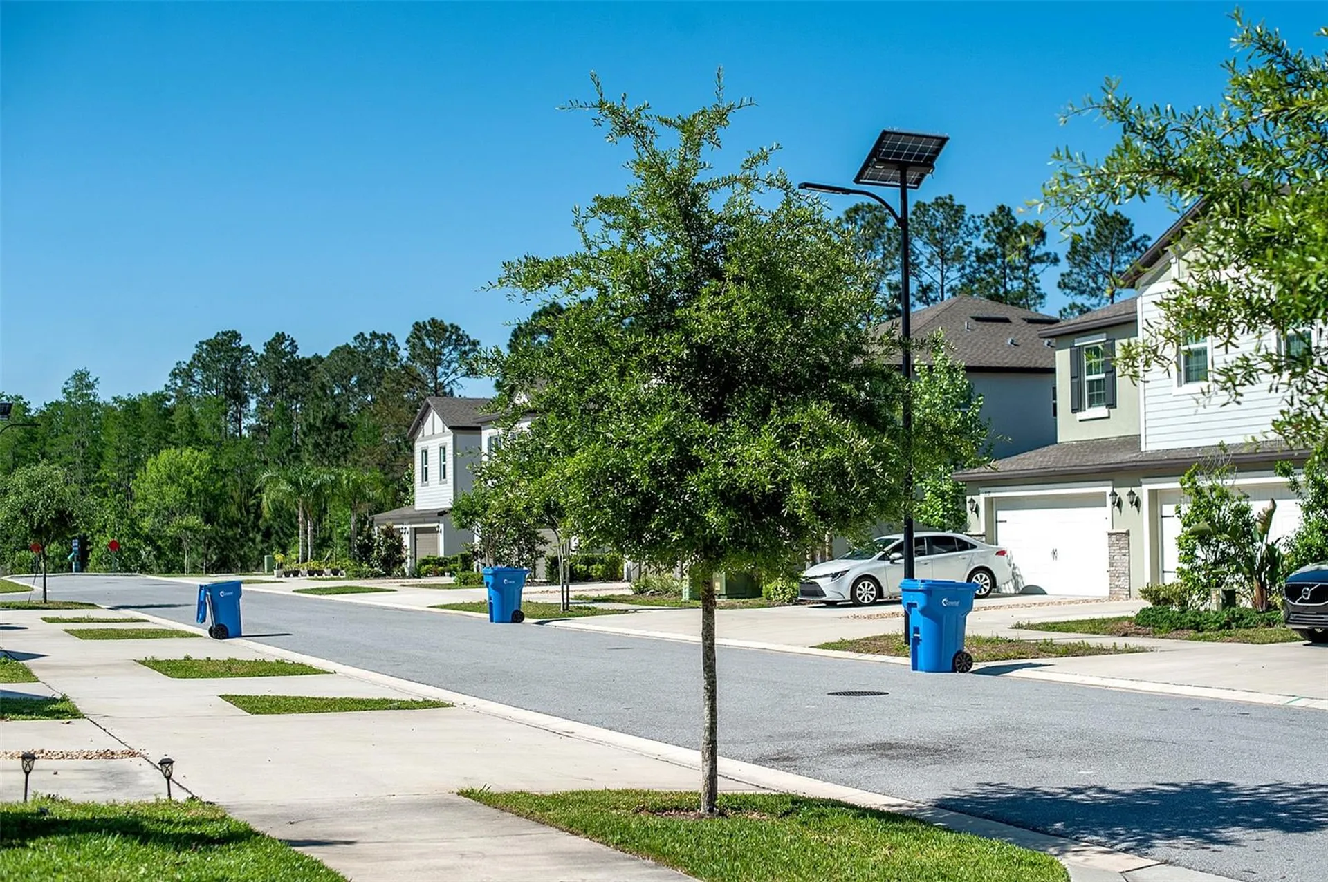 2160 Cerulean Sky Drive Lutz FL 33558